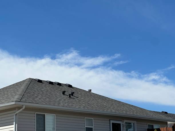 Best Cold Roofs  in Uhrichsville, OH